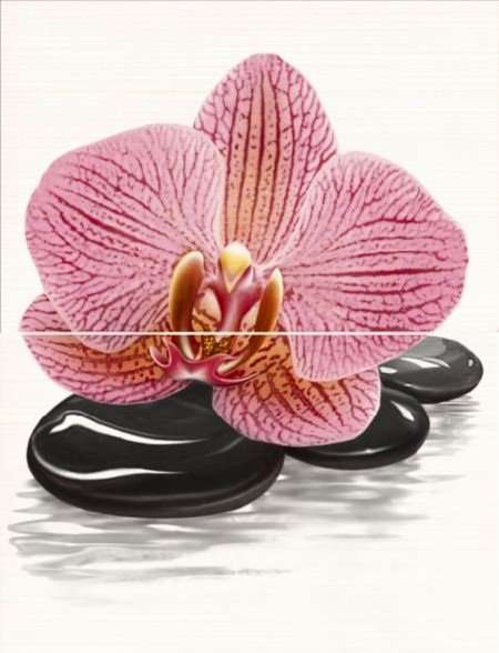 Панно Piastrella Бали Орхидея Панно, цвет разноцветный, поверхность матовая, прямоугольник, 300x400
