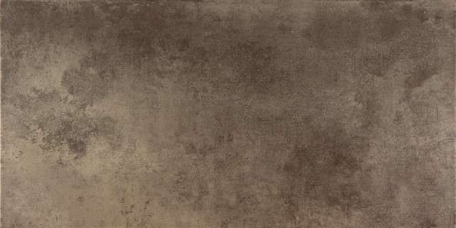 Керамогранит Ceracasa Evolution Titanio Lapatto, цвет коричневый, поверхность лаппатированная, прямоугольник, 491x982