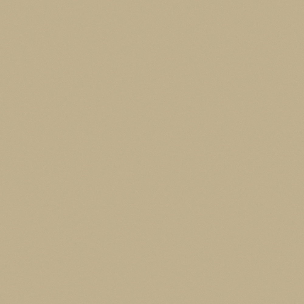 Керамогранит Керамика будущего Моноколор (LR) CF UF 005 Кофе с молоком, цвет коричневый, поверхность лаппатированная, квадрат, 600x600