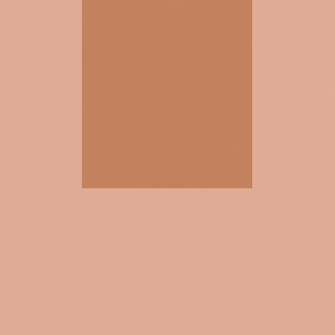 Декоративные элементы Fioranese Italian Landscape Firenze_B ILFI20B, цвет коричневый розовый, поверхность матовая, квадрат, 205x205