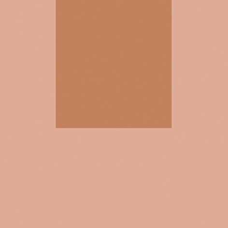 Декоративные элементы Fioranese Italian Landscape Firenze_B ILFI20B, цвет коричневый розовый, поверхность матовая, квадрат, 205x205