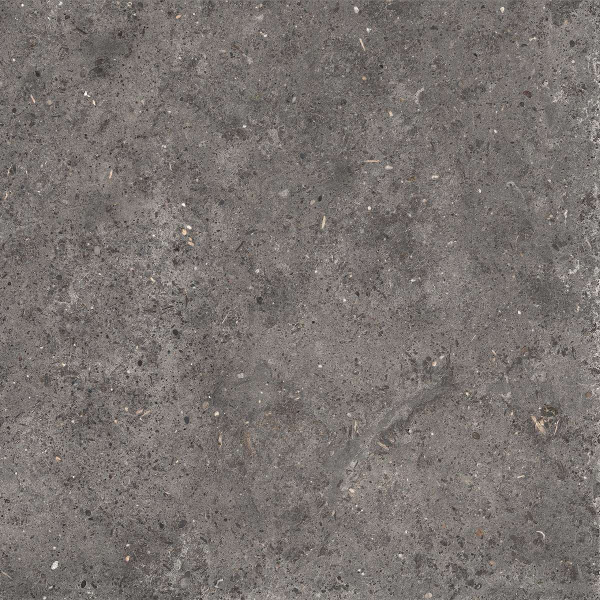 Керамогранит La Fabbrica Agglomerate Tahiti Nat/Ret 160014, цвет серый тёмный, поверхность матовая, квадрат, 600x600