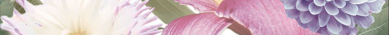 Бордюры Europa Ceramica Fantasy Bouquet Cenefa, цвет разноцветный, поверхность глянцевая, квадрат, 50x500