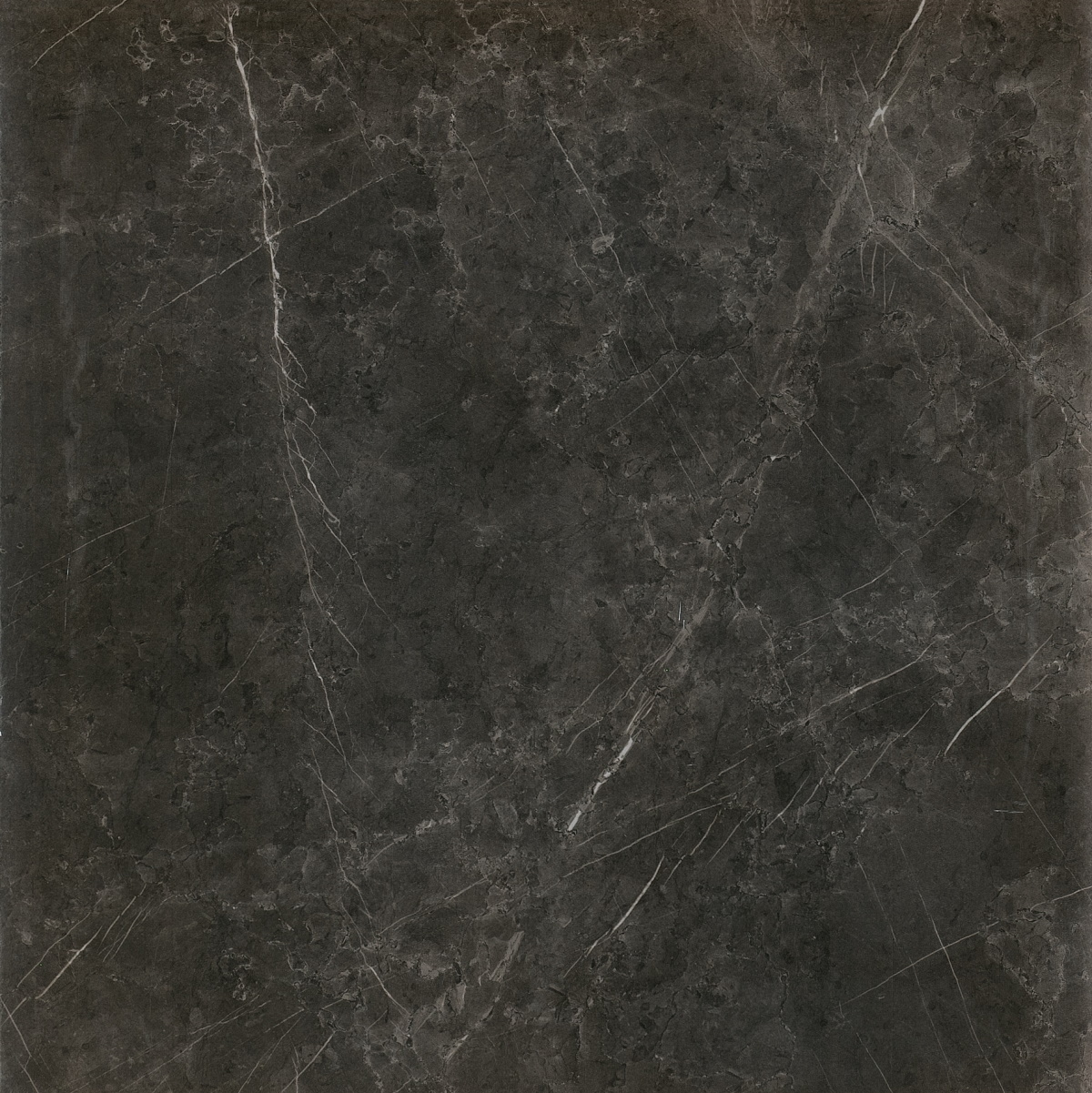 Керамогранит Caesar Anima Graphite Matt. AF0C, цвет серый тёмный, поверхность матовая, квадрат, 1200x1200