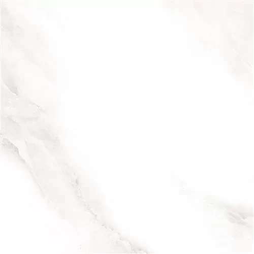 Керамогранит Sina Tile Shine Grey Polished 2573, цвет белый, поверхность матовая, квадрат, 600x600