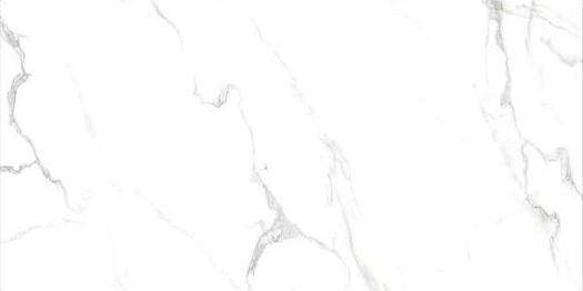 Керамогранит Siena Granito Bianco Carrara, цвет белый, поверхность полированная, прямоугольник, 600x1200