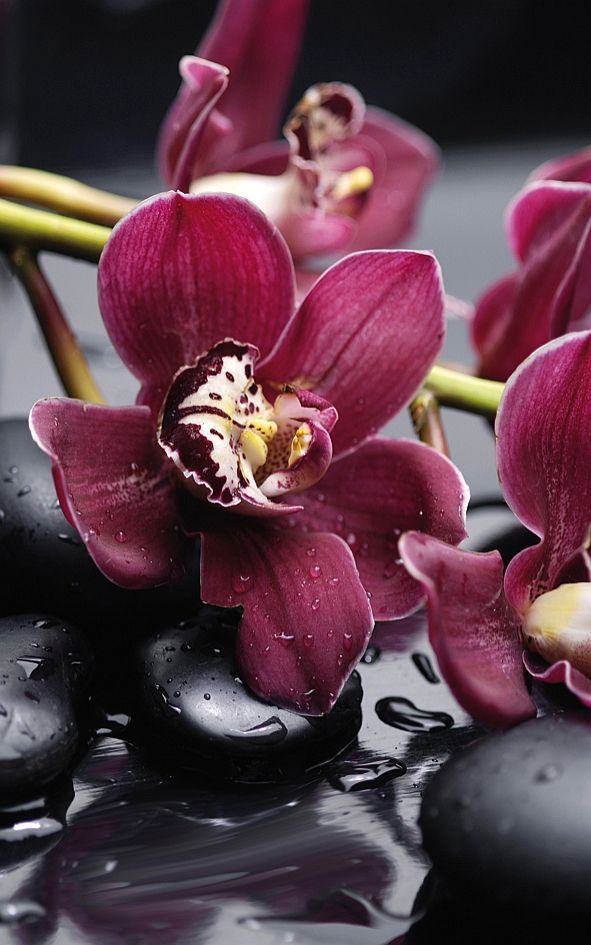 Панно Cerrol City Orchid, цвет разноцветный, поверхность глянцевая, прямоугольник, 800x500
