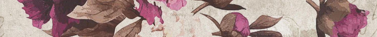 Бордюры Belleza Бордюр Кэрол бежевый 05-01-1-57-03-11-685-0, цвет разноцветный, поверхность матовая, квадрат, 50x500