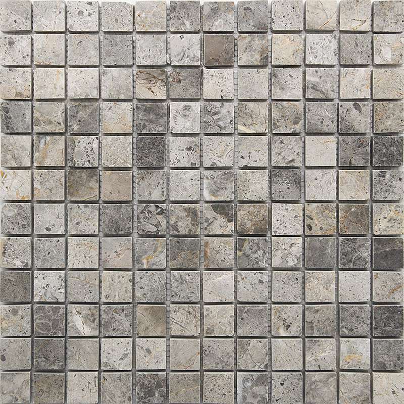 Мозаика Starmosaic Wild Stone VLgP, цвет серый, поверхность полированная, квадрат, 300x300