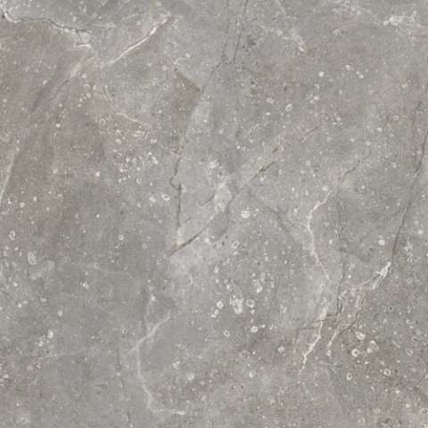 Керамическая плитка Vives Dedalo-R Ceniza, цвет серый, поверхность глянцевая, квадрат, 593x593