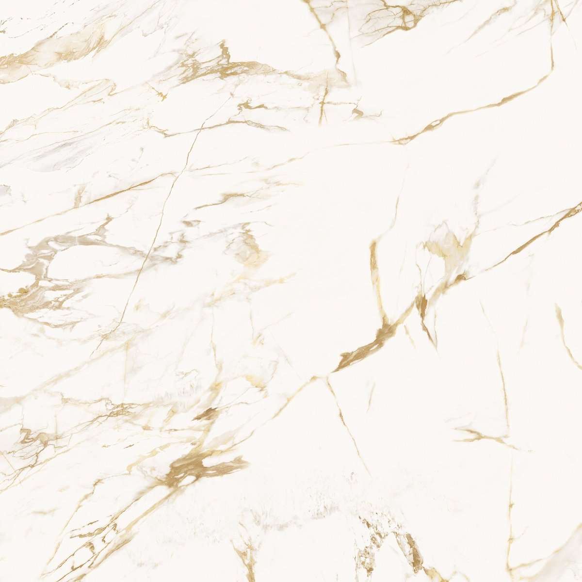Керамогранит Roberto Cavalli Lush Calacatta Oro Lux 500852, цвет белый бежевый, поверхность полированная, квадрат, 1200x1200