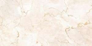 Керамическая плитка Belleza Плитка настенная Монкада коричневая 00-00-5-10-00-15-480, цвет бежевый, поверхность глянцевая, прямоугольник, 250x500