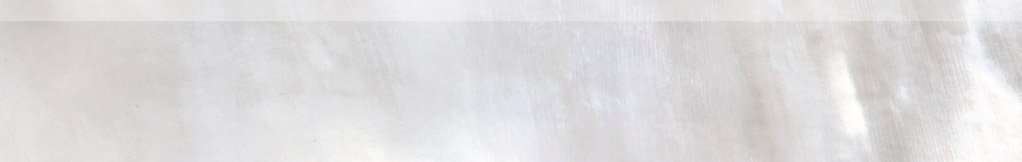 Бордюры Roberto Cavalli Tanduk Battiscopa Grigio Rett. 556742, цвет серый, поверхность матовая, прямоугольник, 95x600
