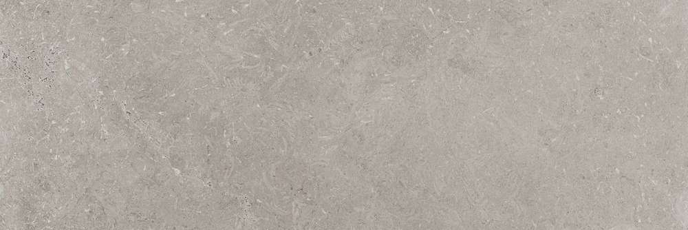 Широкоформатный керамогранит Panaria Prime Stone Silver, цвет серый, поверхность матовая, прямоугольник, 1000x3000