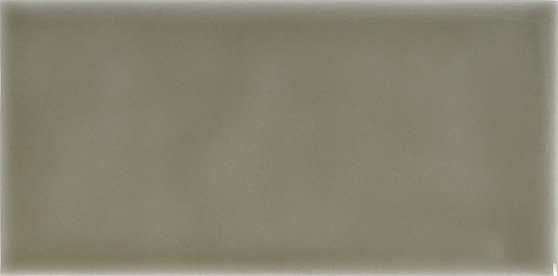 Керамическая плитка Adex ADST1022 Liso Eucalyptus, цвет серый, поверхность глянцевая, прямоугольник, 98x198