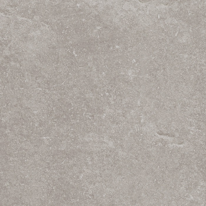 Керамогранит Porcelanosa Verbier Silver 100324749, цвет серый, поверхность матовая, квадрат, 596x596