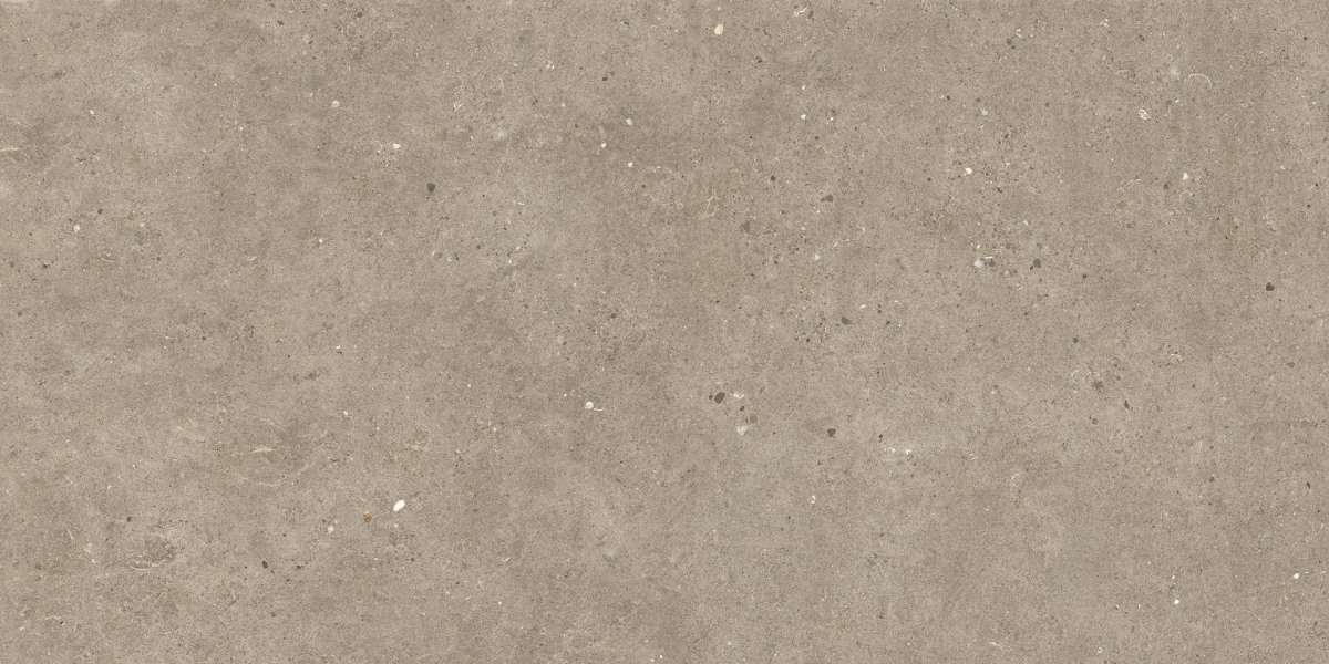 Толстый керамогранит 20мм Impronta Silver Grain Taupe Antislip 2cm SI04BA2, цвет коричневый, поверхность матовая, прямоугольник, 600x1200