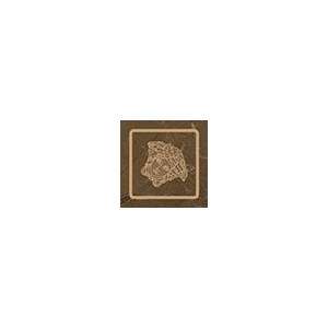 Вставки Versace Emote Tozzetto Pulpis Marrone 262583, цвет коричневый, поверхность полированная, квадрат, 40x40