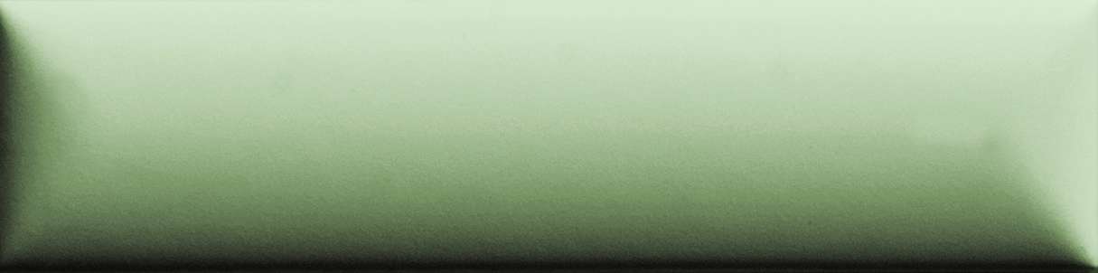 Керамическая плитка 41zero42 Biscuit Dune Salvia 4100690, цвет зелёный, поверхность матовая 3d (объёмная), прямоугольник, 50x200