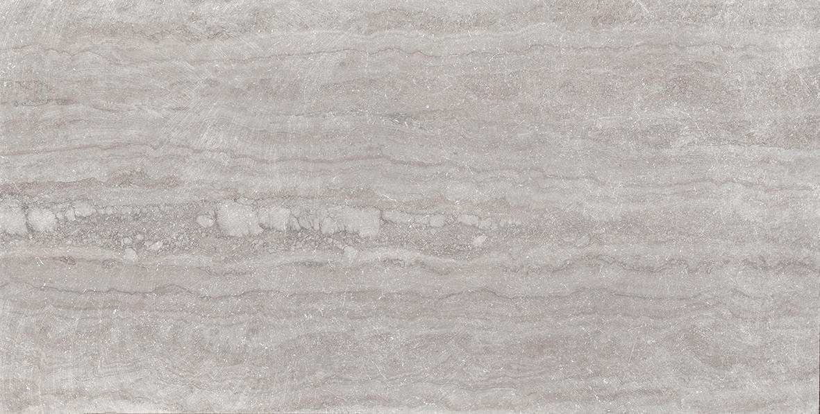 Керамогранит Emilceramica (Acif) Eterna Silver Rett ECJ5, цвет серый, поверхность матовая, прямоугольник, 300x600