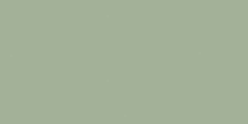 Керамическая плитка Paradyz Feelings Green Sciana Rekt., цвет зелёный, поверхность полированная, прямоугольник, 298x598