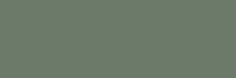 Керамическая плитка Paradyz Nightwish Green Sciana Rekt., цвет зелёный, поверхность матовая, прямоугольник, 250x750