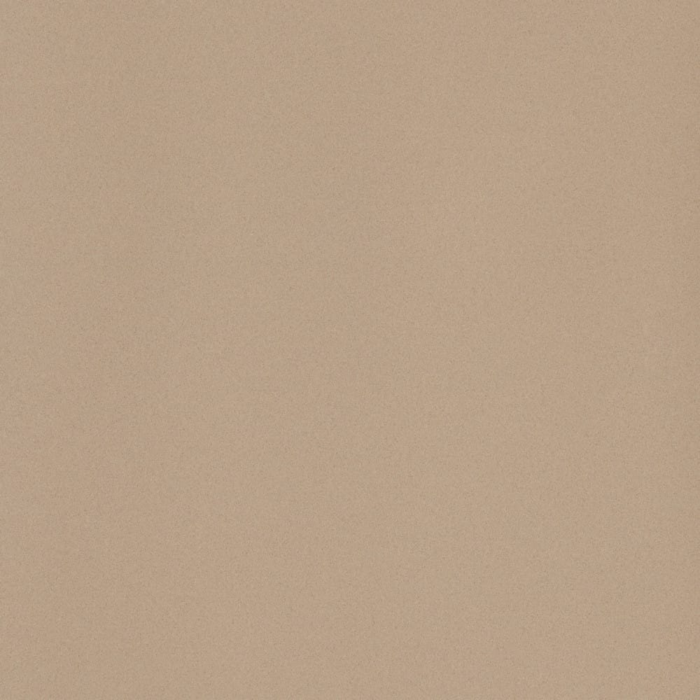 Керамогранит Leonardo Icon Beige 60, цвет коричневый, поверхность матовая, квадрат, 600x600