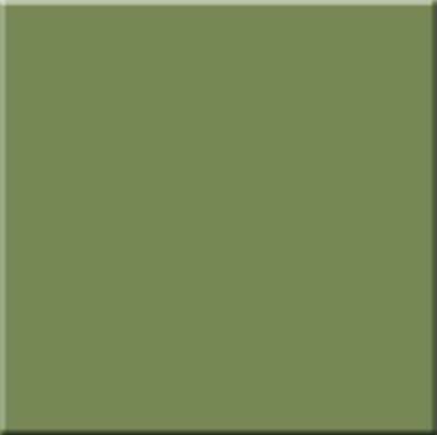 Керамогранит Estima Rainbow Green RW06 Неполированный 60x60 23033, цвет зелёный, поверхность матовая, квадрат, 600x600