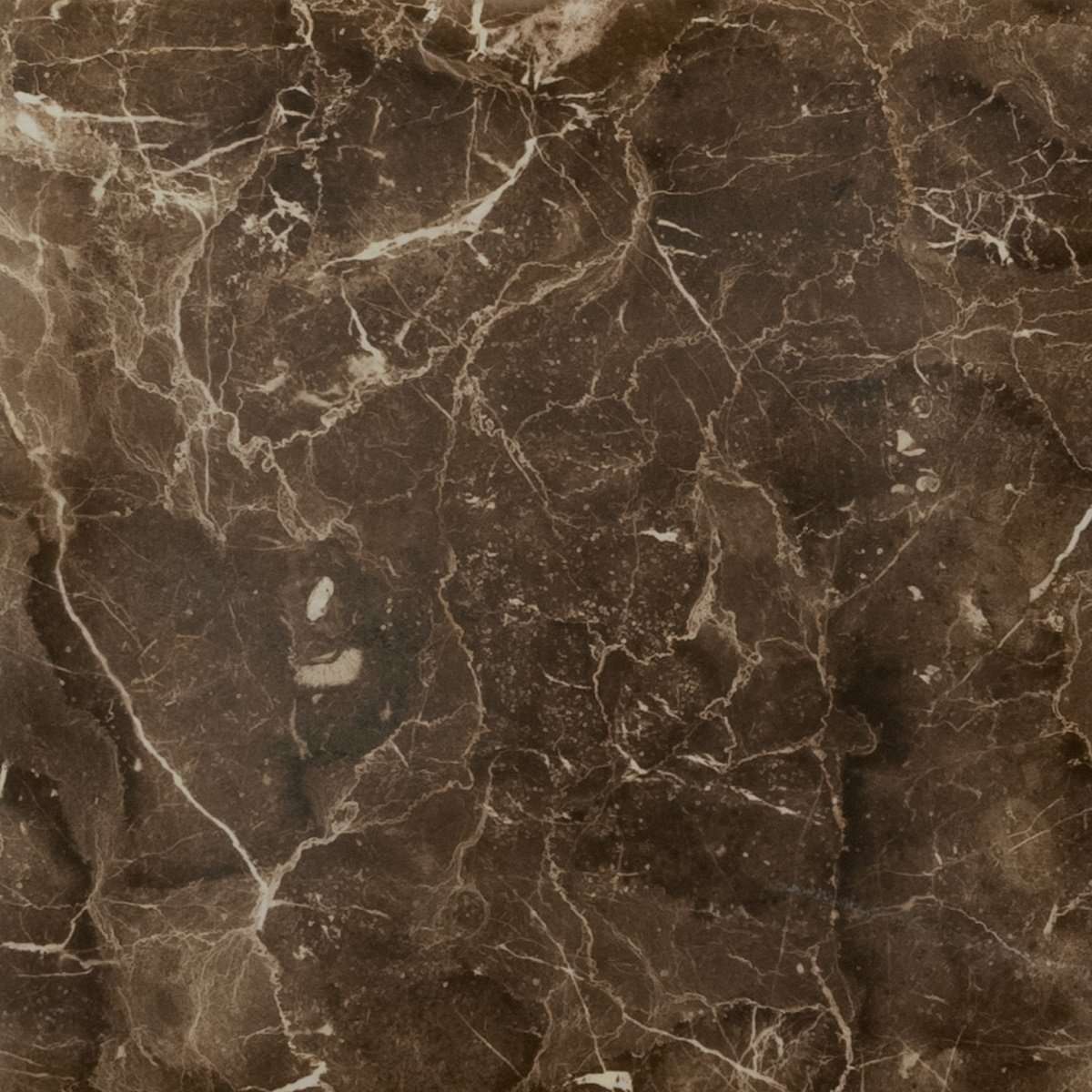 Керамогранит Caesar Anima Dark Emperador Lucidato ACMV, цвет коричневый тёмный, поверхность полированная, квадрат, 600x600