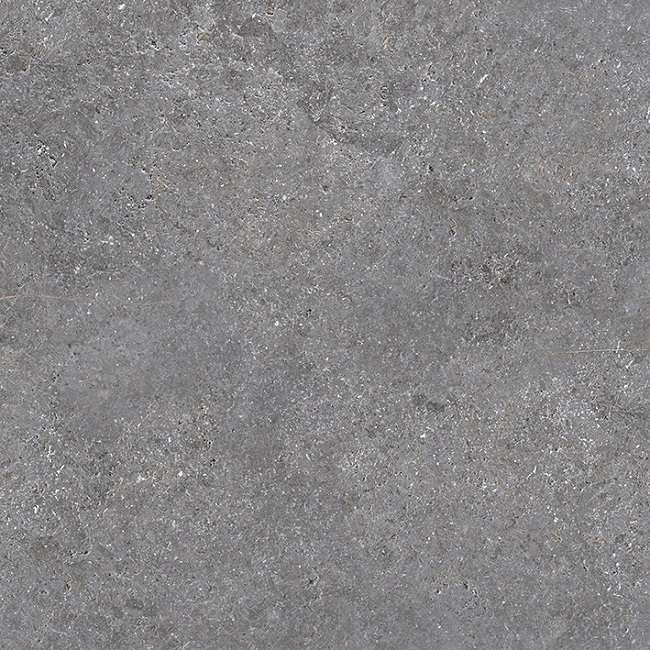 Керамогранит Porcelanosa Hannover Silver Ant. 100310658, цвет серый, поверхность матовая, квадрат, 596x596