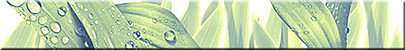 Бордюры Azori Бордюр Элара Верде Триумф, цвет зелёный, поверхность матовая, прямоугольник, 50x405