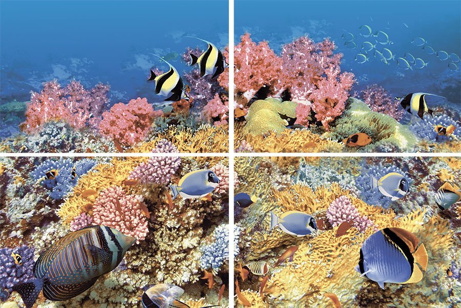Панно Terracotta Панно Alba Reef 1, цвет разноцветный, поверхность глянцевая, прямоугольник, 400x600