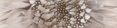 Бордюры Golden Tile Зебрано К61311, цвет серый, поверхность матовая, прямоугольник, 250x60