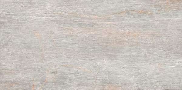 Керамогранит Serenissima Fossil Perla Ret 1066572, цвет серый, поверхность матовая, прямоугольник, 600x1200