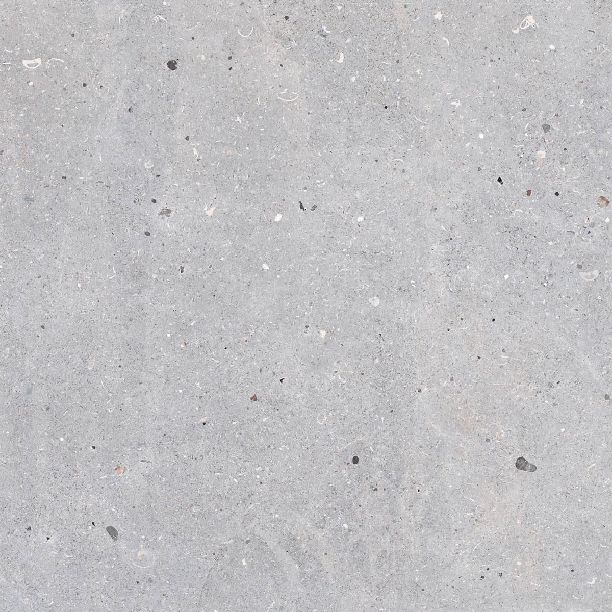 Керамогранит Codicer Meesel Silver, цвет серый, поверхность матовая, квадрат, 660x660