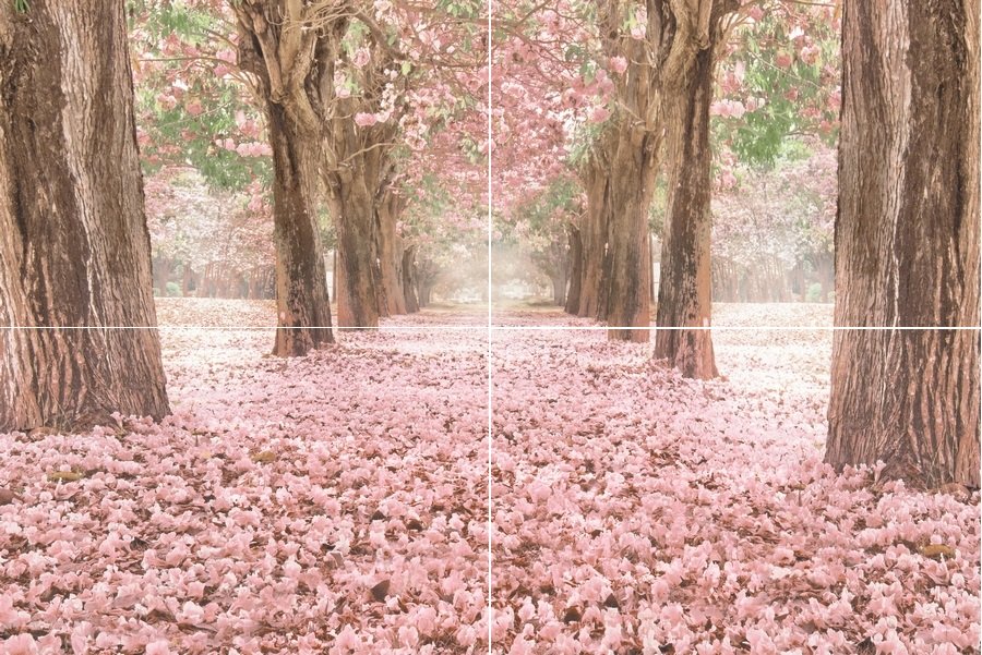 Панно Piastrella Анселия Сакура Панно, цвет розовый, поверхность матовая, прямоугольник, 400x600