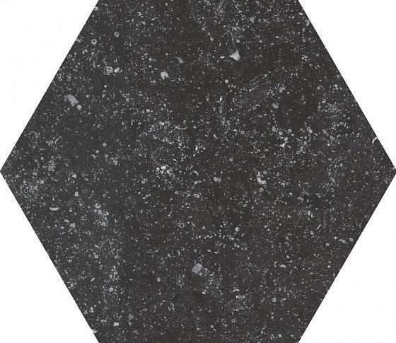 Керамогранит Equipe Coralstone Black 23577, цвет чёрный, поверхность матовая, прямоугольник, 254x292