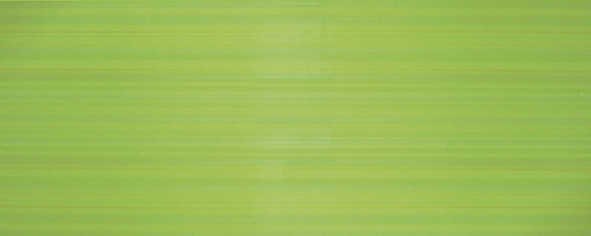 Керамическая плитка Ceradim Rocio Fantasy Pistachio, цвет зелёный, поверхность глянцевая, прямоугольник, 200x500