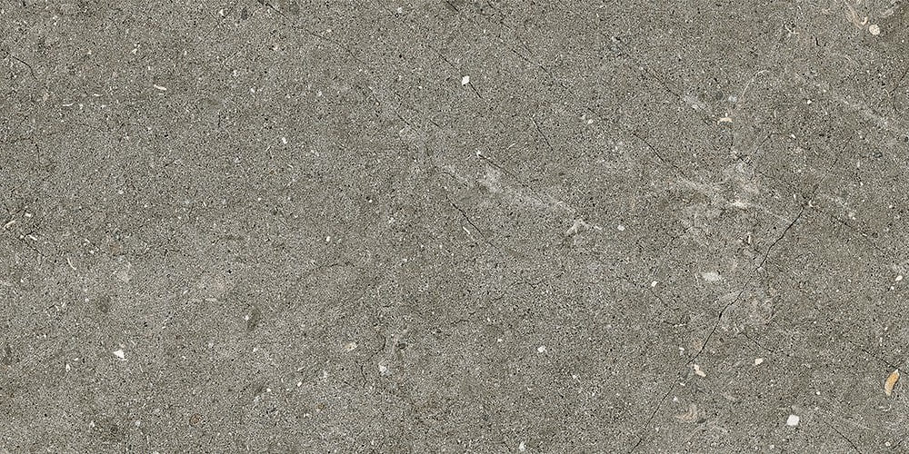 Керамогранит Alfalux Pietre Pure Vicenza Roc Ret 7280096, цвет серый, поверхность структурированная противоскользящая, прямоугольник, 297x595
