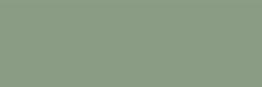 Керамическая плитка Creto Ekzotic Olive NB_0403, цвет зелёный, поверхность матовая, прямоугольник, 300x900