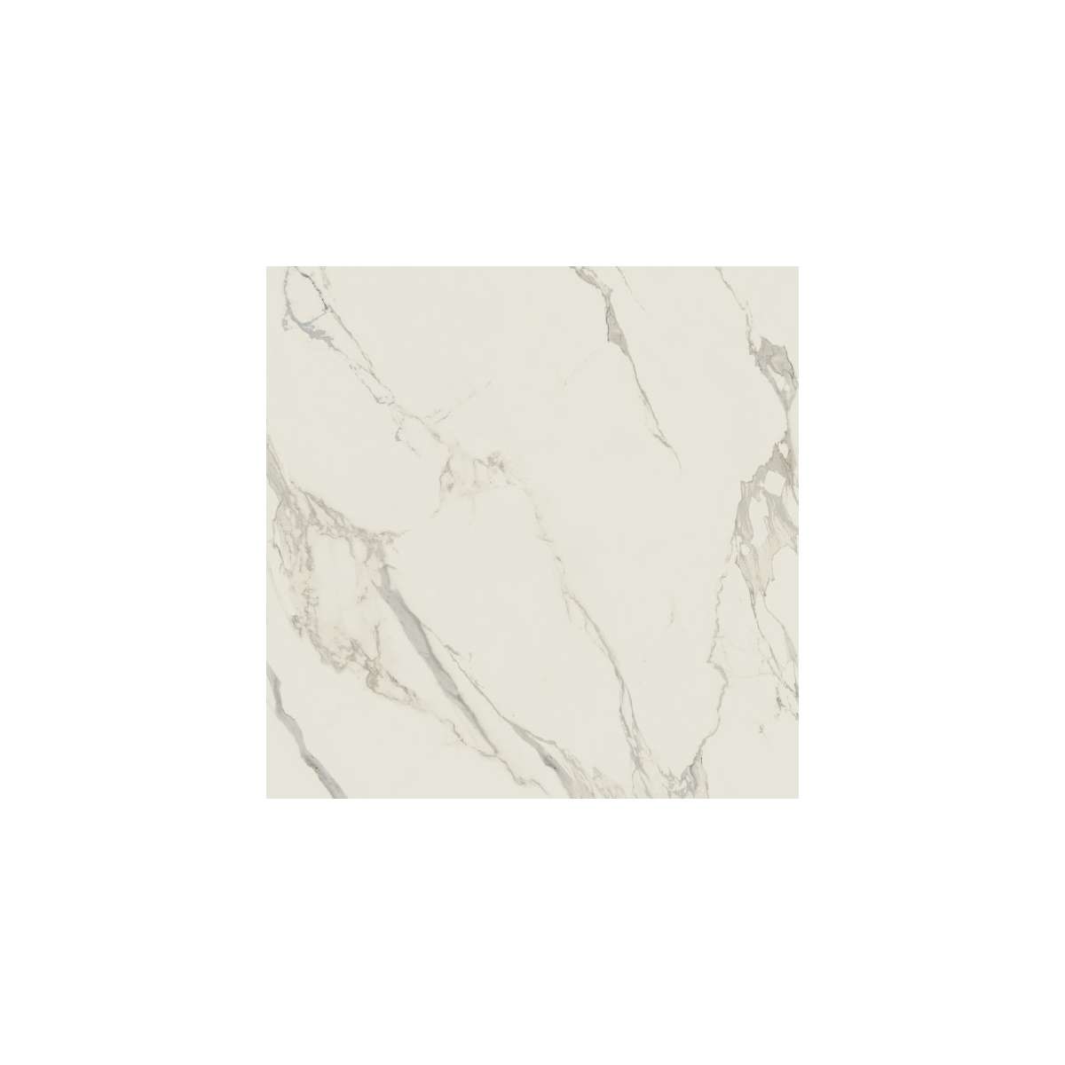 Вставки Caesar Anima Calacatta Oro Tozetto Luc ACJ3, цвет белый, поверхность полированная, квадрат, 57x57