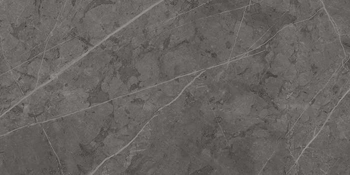 Керамогранит Italon Charme Evo Antracite Nat 610010001414, цвет серый, поверхность матовая, прямоугольник, 600x1200