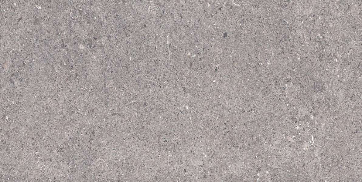 Керамогранит Aleyra Ageless Grey Lap, цвет серый, поверхность лаппатированная, прямоугольник, 600x1200