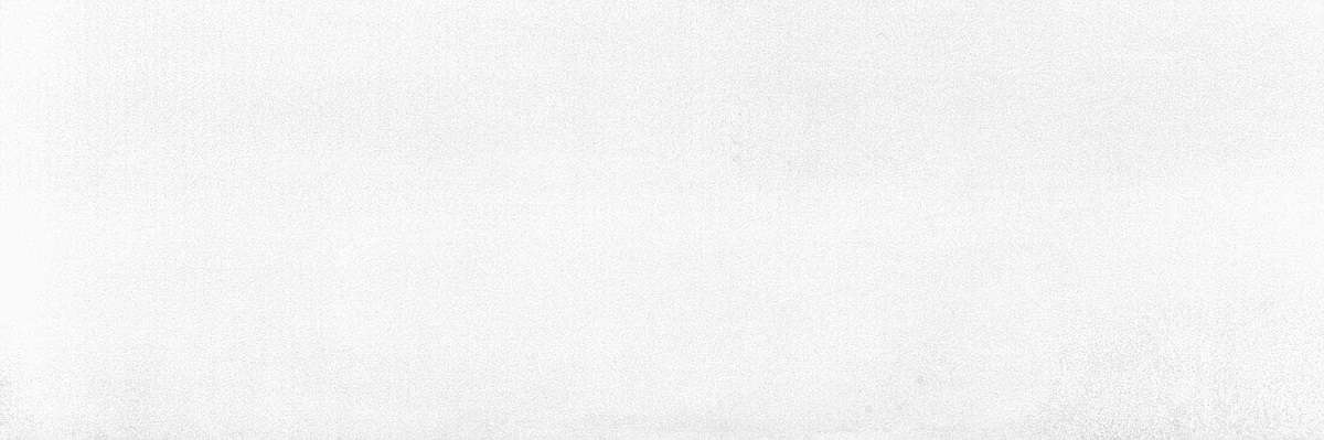 Керамическая плитка Pamesa Brienz Ice, цвет белый, поверхность матовая, прямоугольник, 333x1000