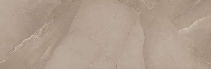 Керамическая плитка Azteca Passion R90 Taupe, цвет коричневый, поверхность глянцевая, прямоугольник, 300x900