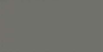 Керамическая плитка Equipe Evolution Gris Oscuro Brillo 20915, цвет серый, поверхность глянцевая, кабанчик, 75x150
