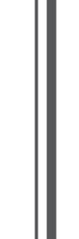 Декоративные элементы Vives Evia Boiserie Vertical Simple Izquierda K, цвет чёрно-белый, поверхность матовая, прямоугольник, 250x750