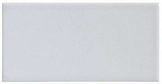 Керамическая плитка Adex ADMO1082 Liso PB C/C Cadet Gray, цвет серый, поверхность глянцевая, кабанчик, 100x200