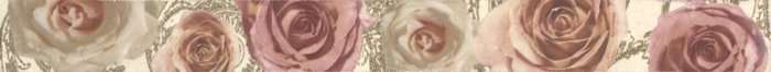 Бордюры Undefasa Cenefa Yellowrose Crema Marfil, цвет бежевый, поверхность глянцевая, квадрат, 50x500