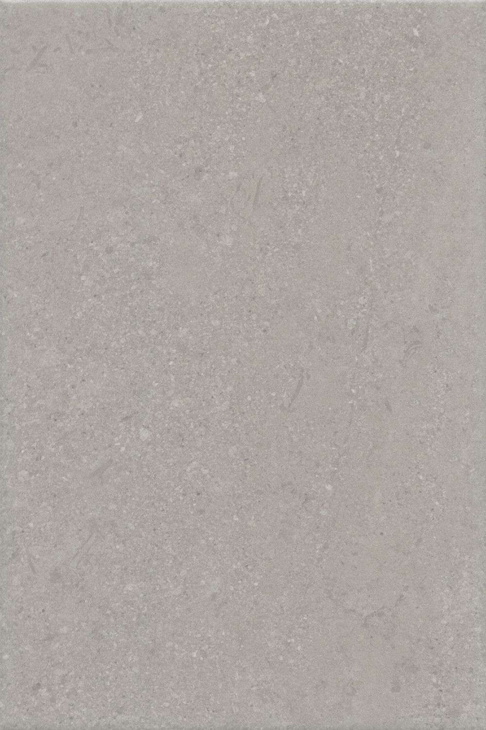 Керамическая плитка Kerama Marazzi Матрикс серый матовый 8343, цвет серый, поверхность матовая, прямоугольник, 200x300